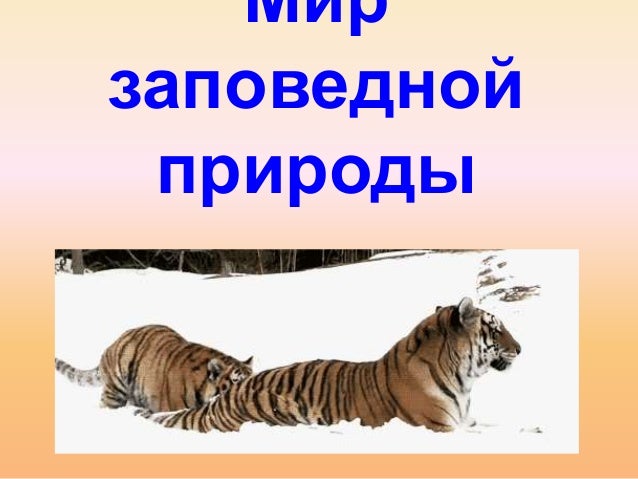 11 января день заповедников и национальных парков 46